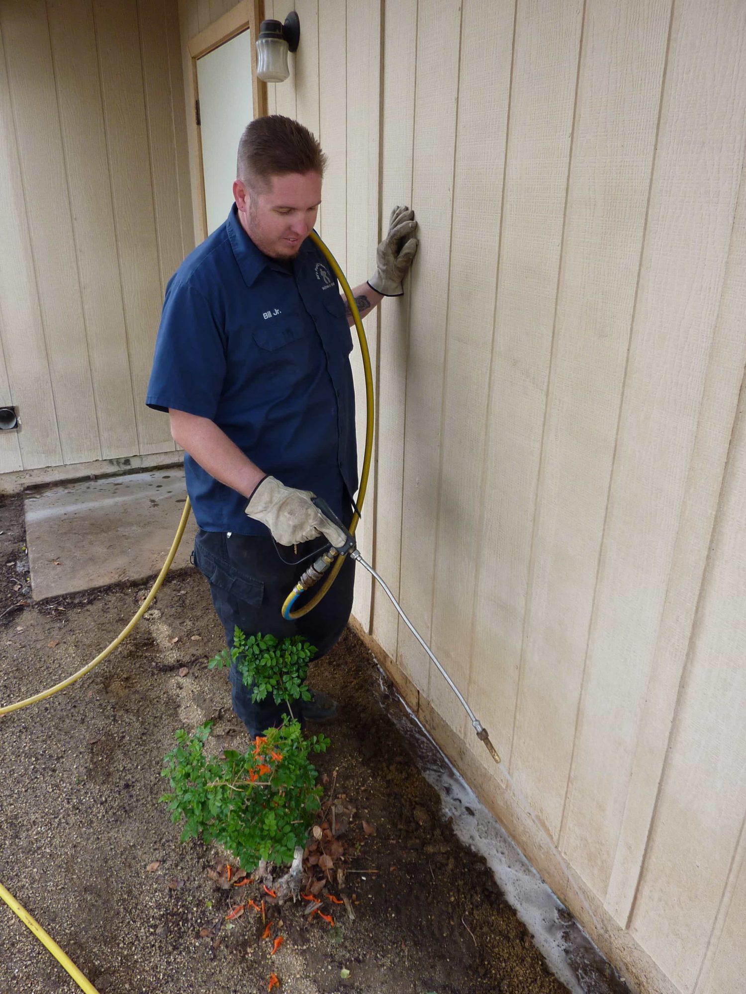 Pest Control for Termites