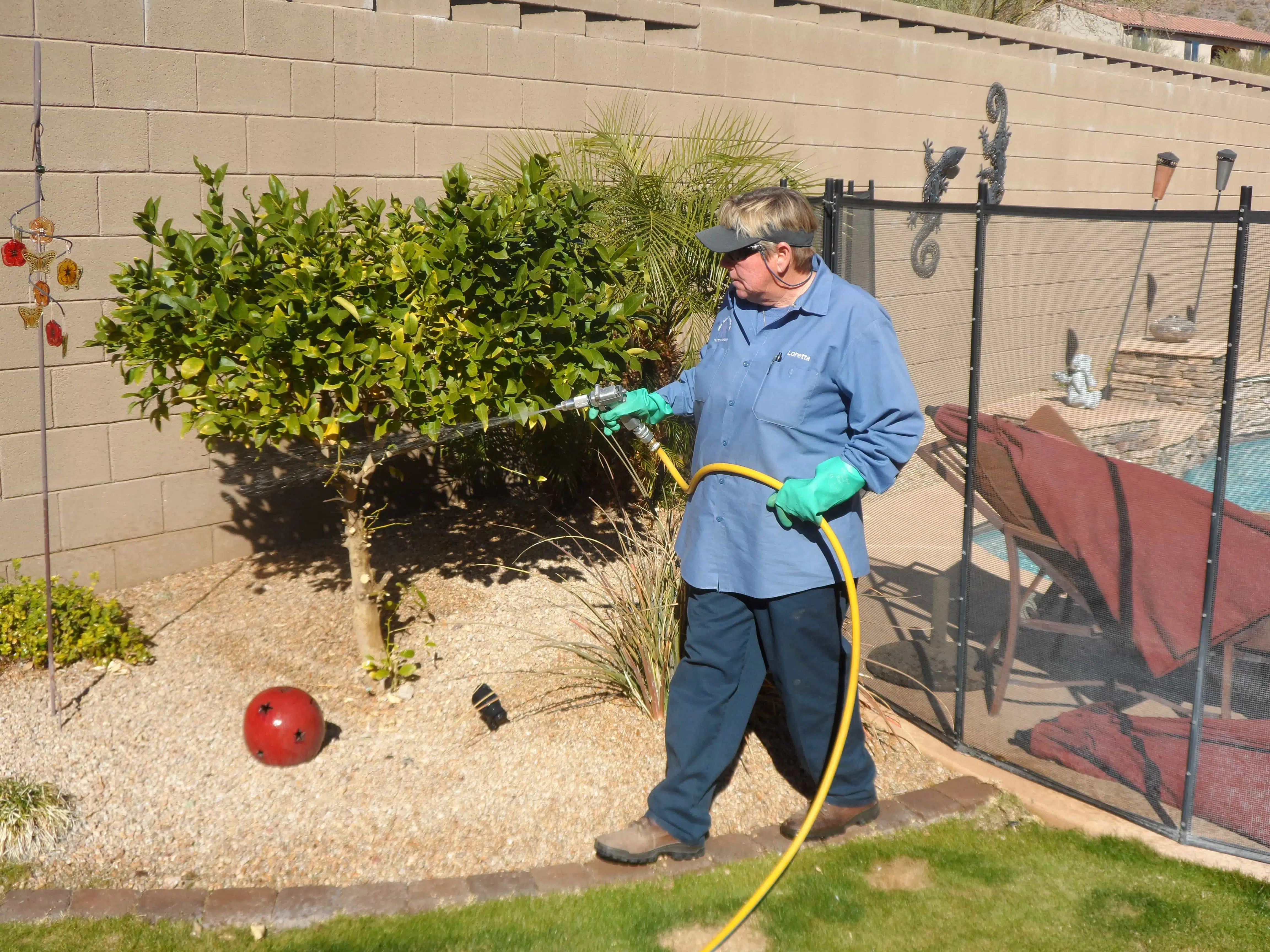 Professional Ant Removal: Let us help with how to get rid of Ants 