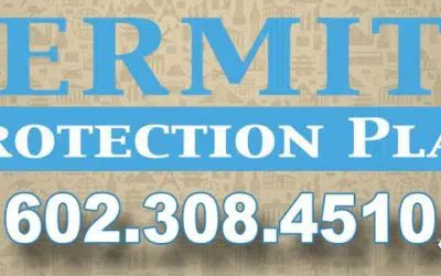 Best Arizona Termite Protection Plan Phoenix Az