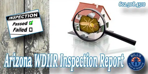 Arizona WDIIR Inspection Report: Why Choose Bills Pest Termite Control