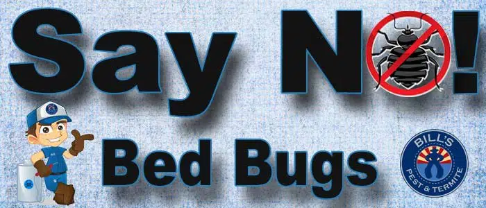 Bed Bug Free Certification and Bed Bug Treatment Certificate