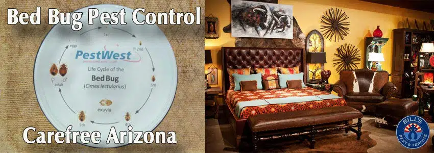Best Bed Bug Control Carefree AZ
