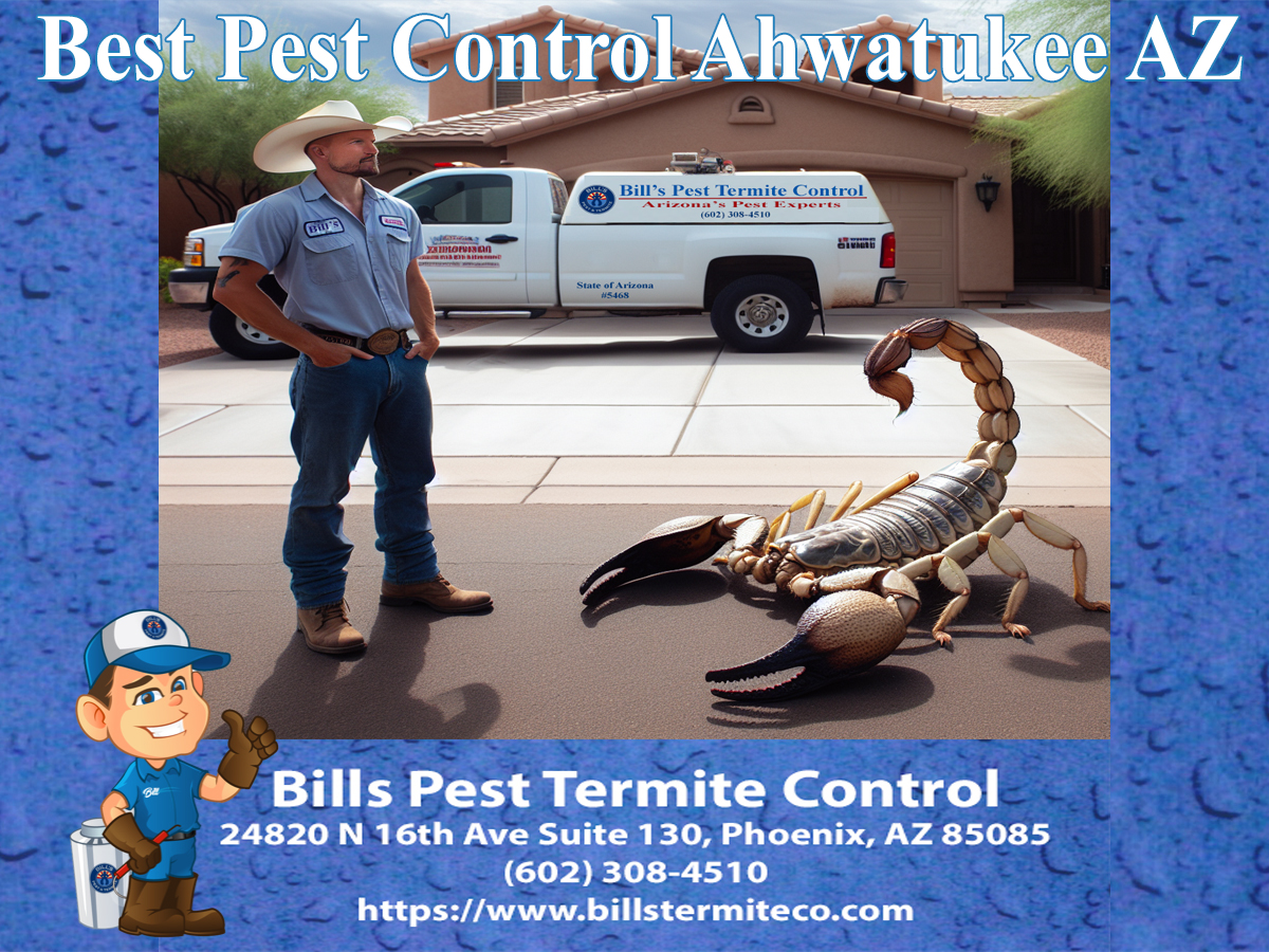 Best Pest Control Ahwatukee Az - Bills Pest Termite Control