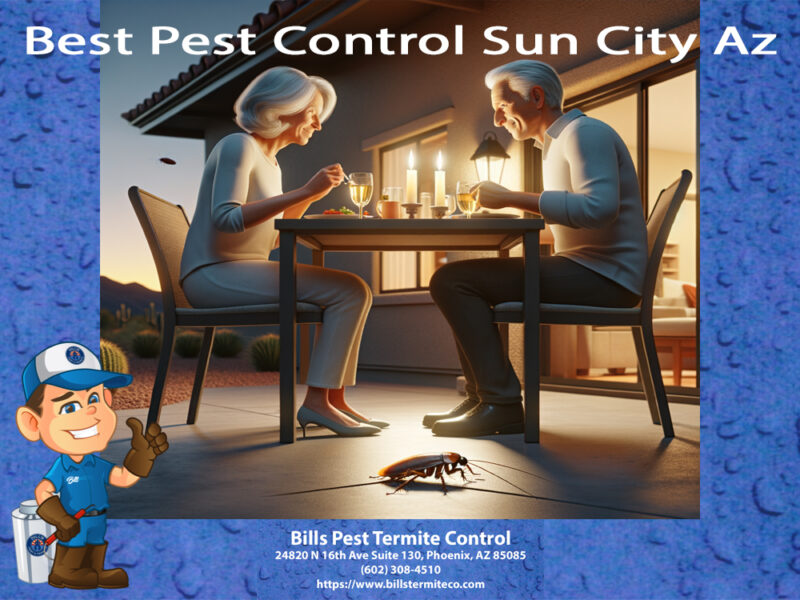 Best Pest Control Sun City Az - Bills Pest Termite Control