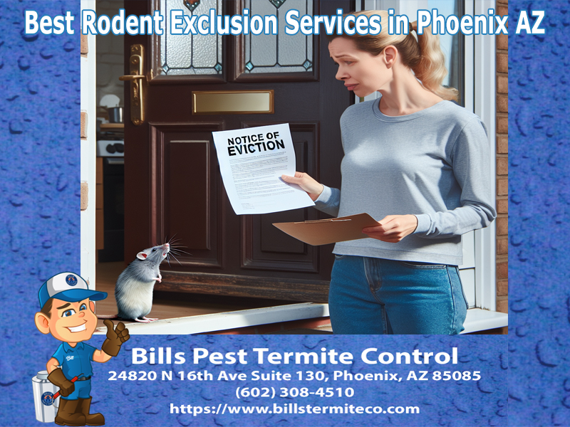 Best Rodent Exclusion Services in Phoenix AZ