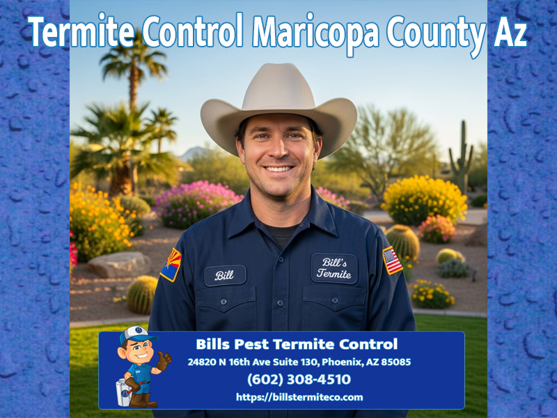 Best Termite Control Maricopa County Az