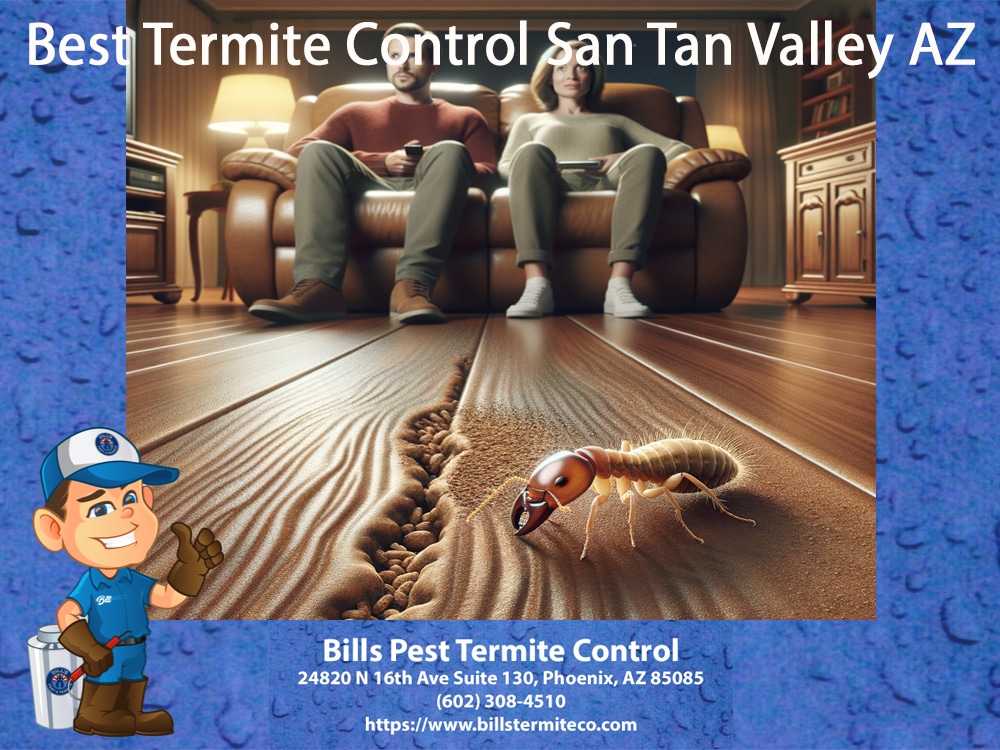 Best Termite Control San Tan Valley AZ