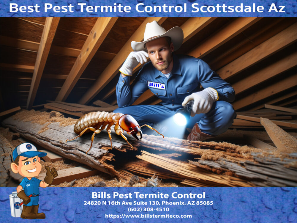 Best Termite Control Scottsdale Az