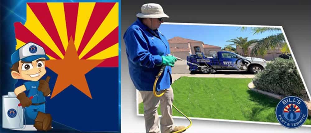 Free Pest Inspections, Evaluations, Quotes for Service and Second Opinions - 602.308.4510