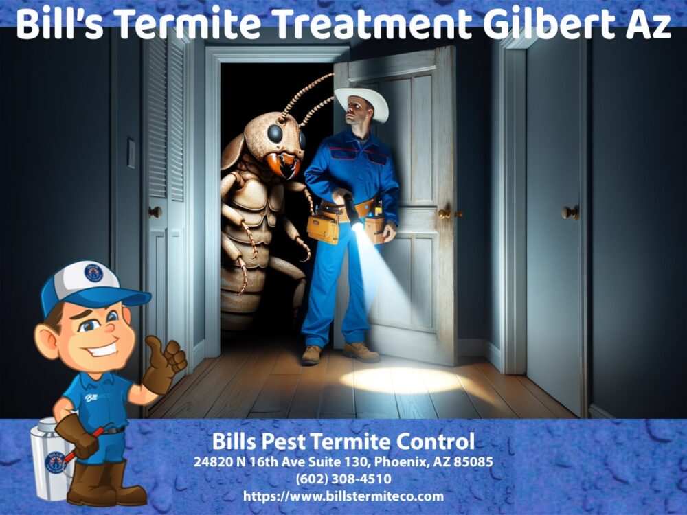 Best Termite Treatment Gilbert AZ | Termite Control Gilbert