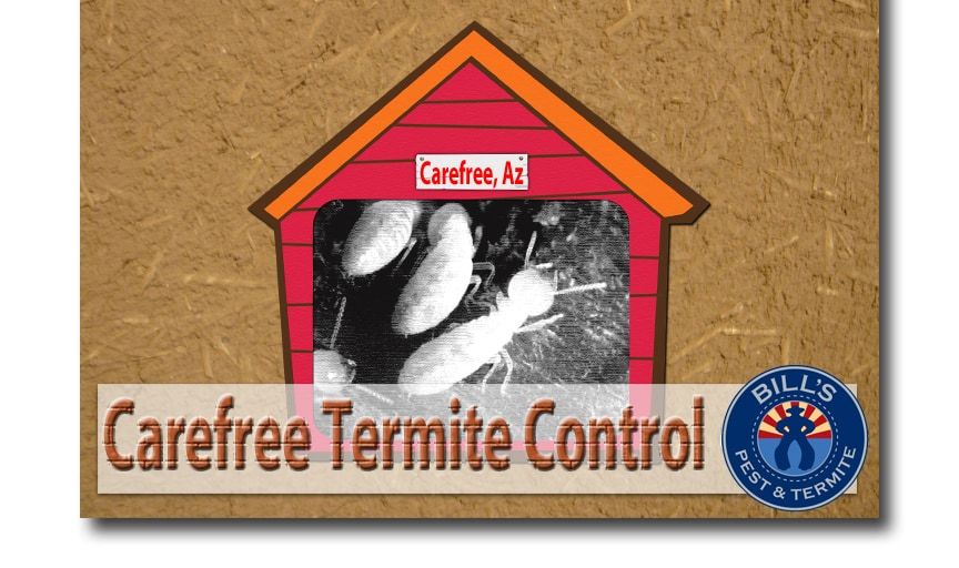 Termite Control Carefree Az