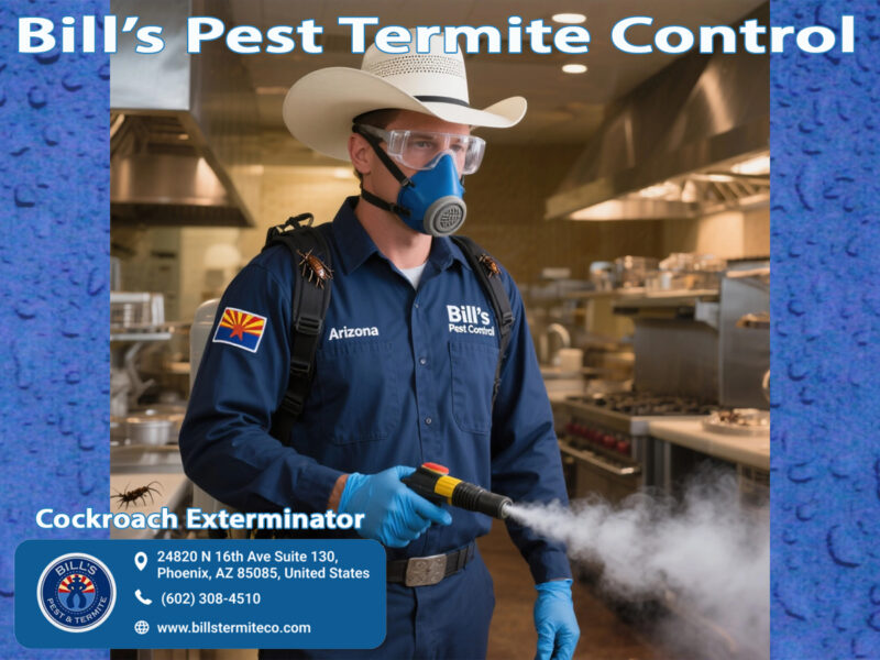 Best Roach Pest Control Near Me in Phoenix Az