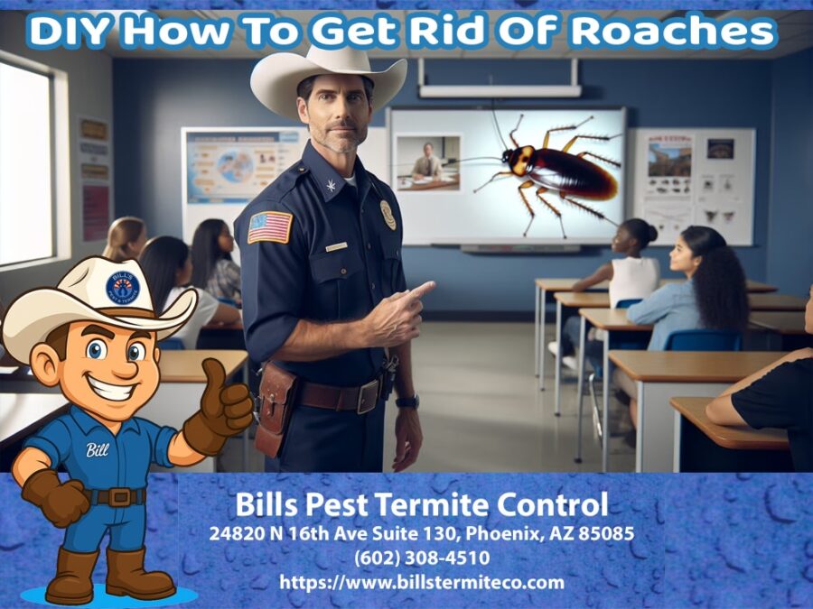 Best Pest Control for Cockroaches | Bill's Pest Termite Control
