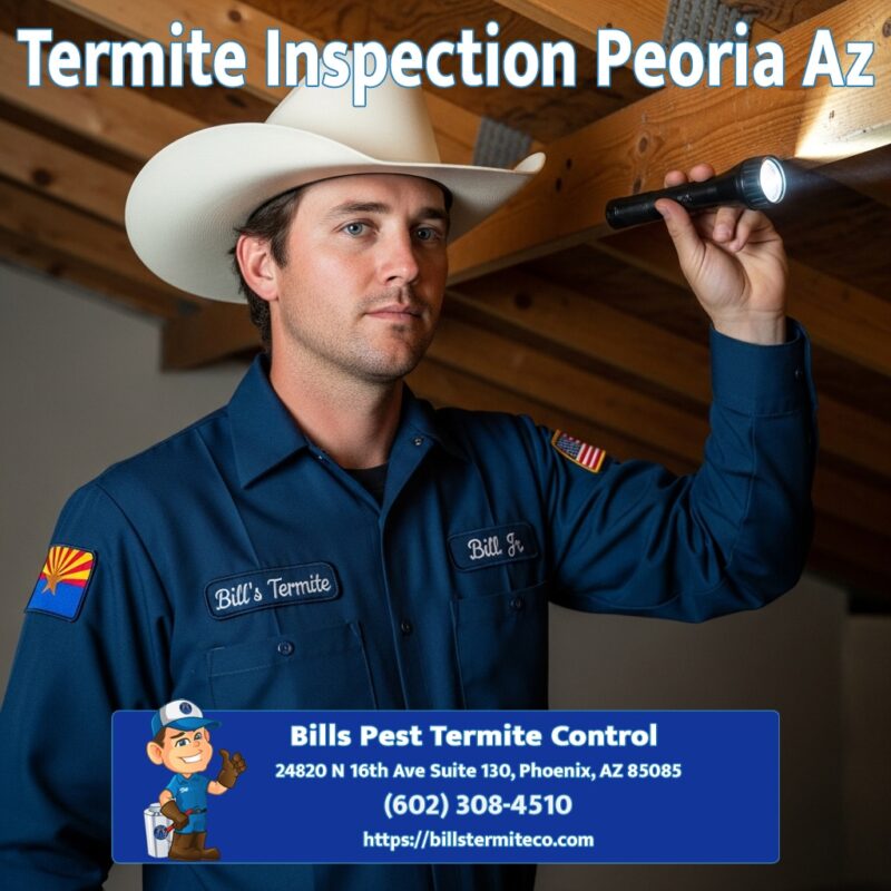 Free Termite Inspection Peoria Az