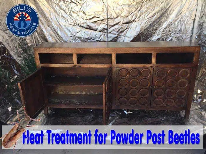 Heat Treatment Powder Post Beetles Phoenix AZ