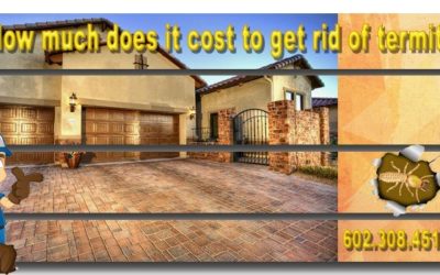 What is the average Termite Treatment Cost Phoenix Az?
