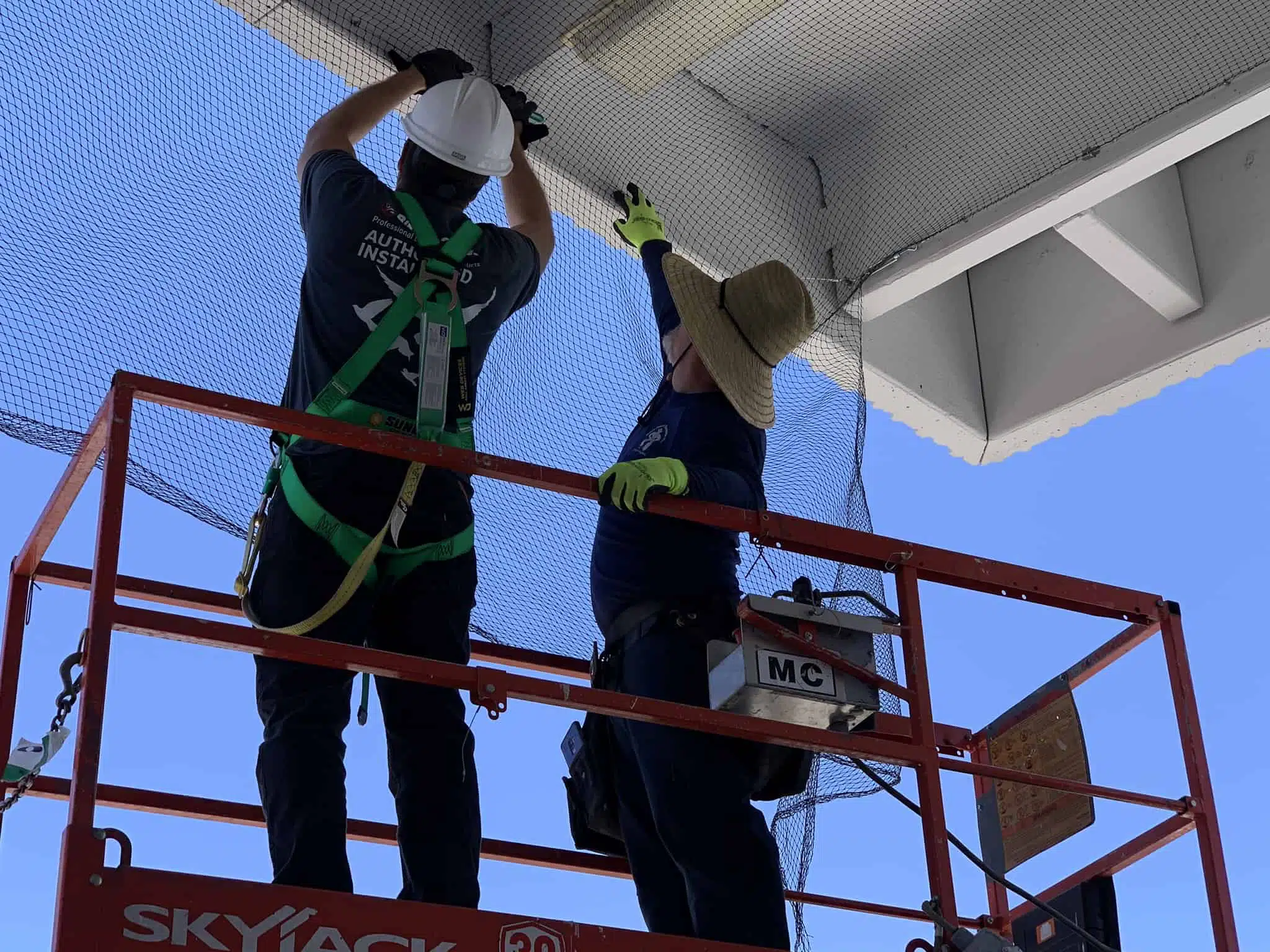 Arizona's Premier Starlings Bird Control and Removal Experts