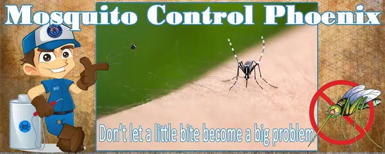 Mosquito Control Phoenix AZ
