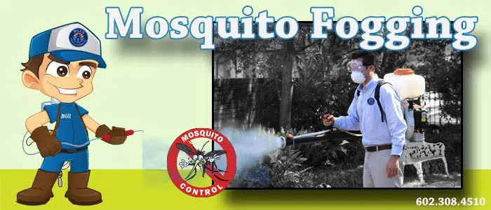 Best Mosquito Fogging Phoenix Az Services