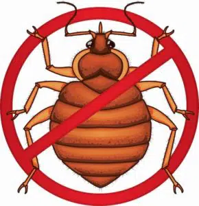 Bed Bug Control Phoenix AZ