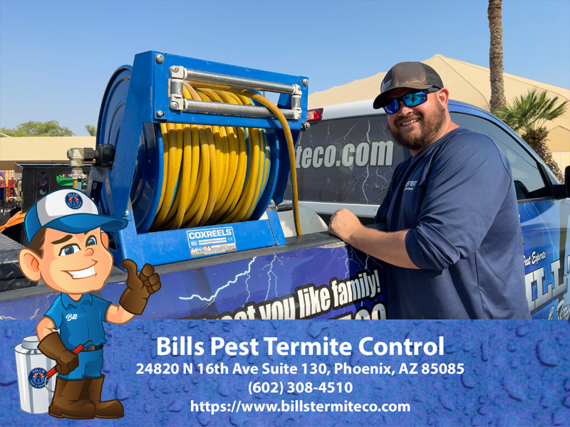 Best Pest and Termite Control Tempe Az