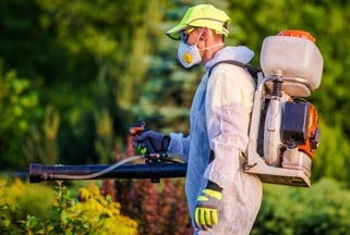 Pest Termite Control Buckeye Az