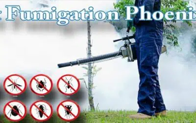 What is Pest Control Fumigation Phoenix Az?