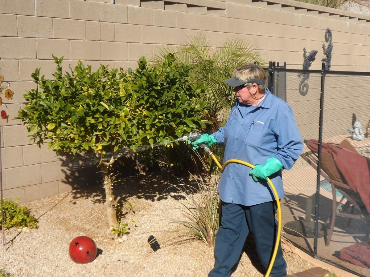 Best Pest Control Prescott Valley, AZ
