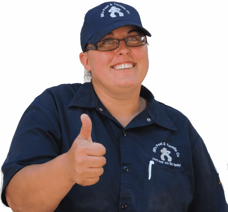 phoenix termite control