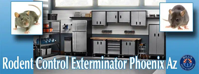 Bills-Phoenix-Termite-Control-Cover-Pic-resized-1