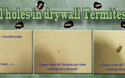 Small Holes in Drywall
