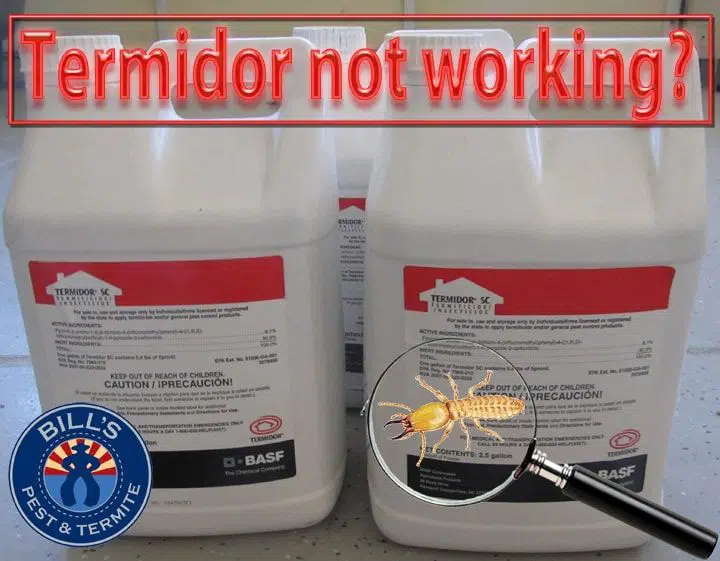 Termidor not working?