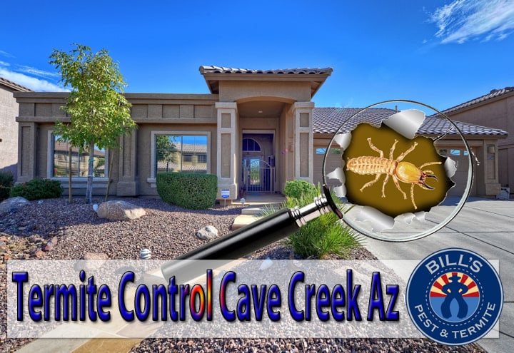 Best Termite Control Cave Creek Az