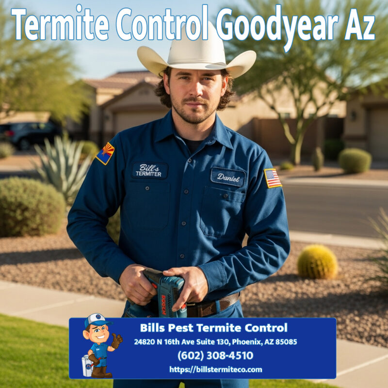 Termite Control Goodyear Az