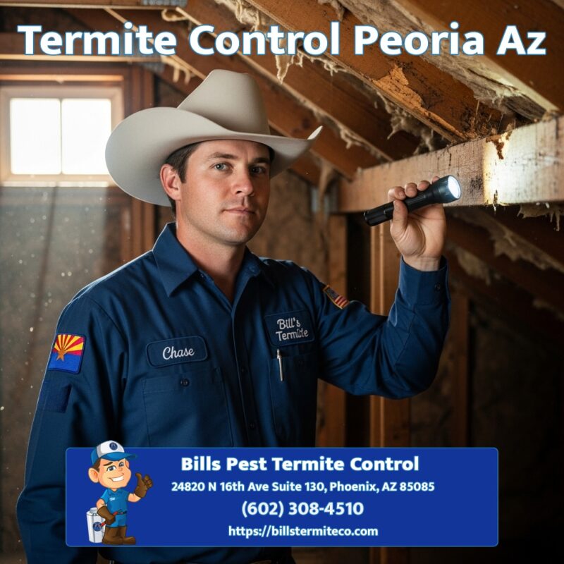 Best Termite Control Peoria Az
