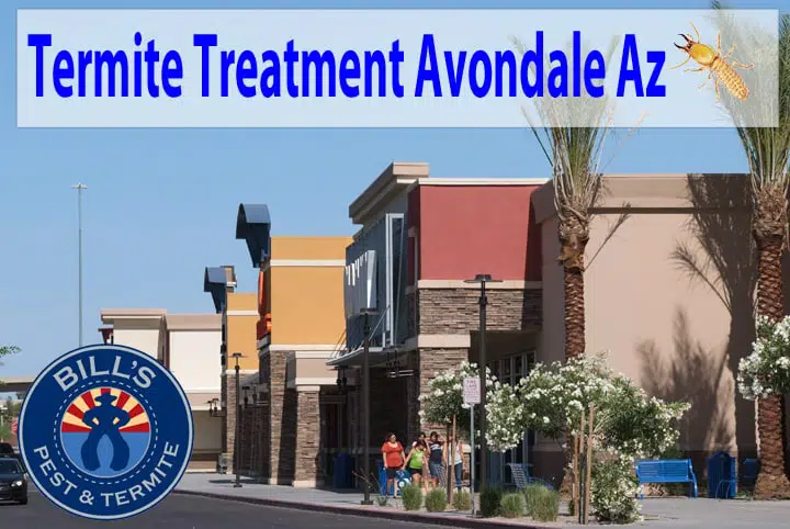 Termite Treatment Avondale Az