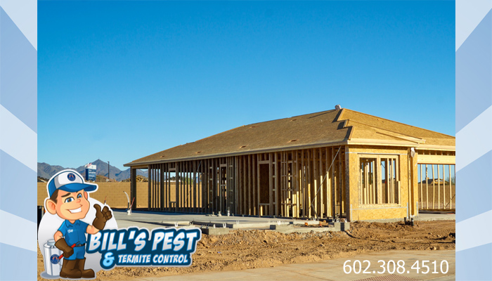 The Importance of New Construction Termite Treatment Services in Arizona