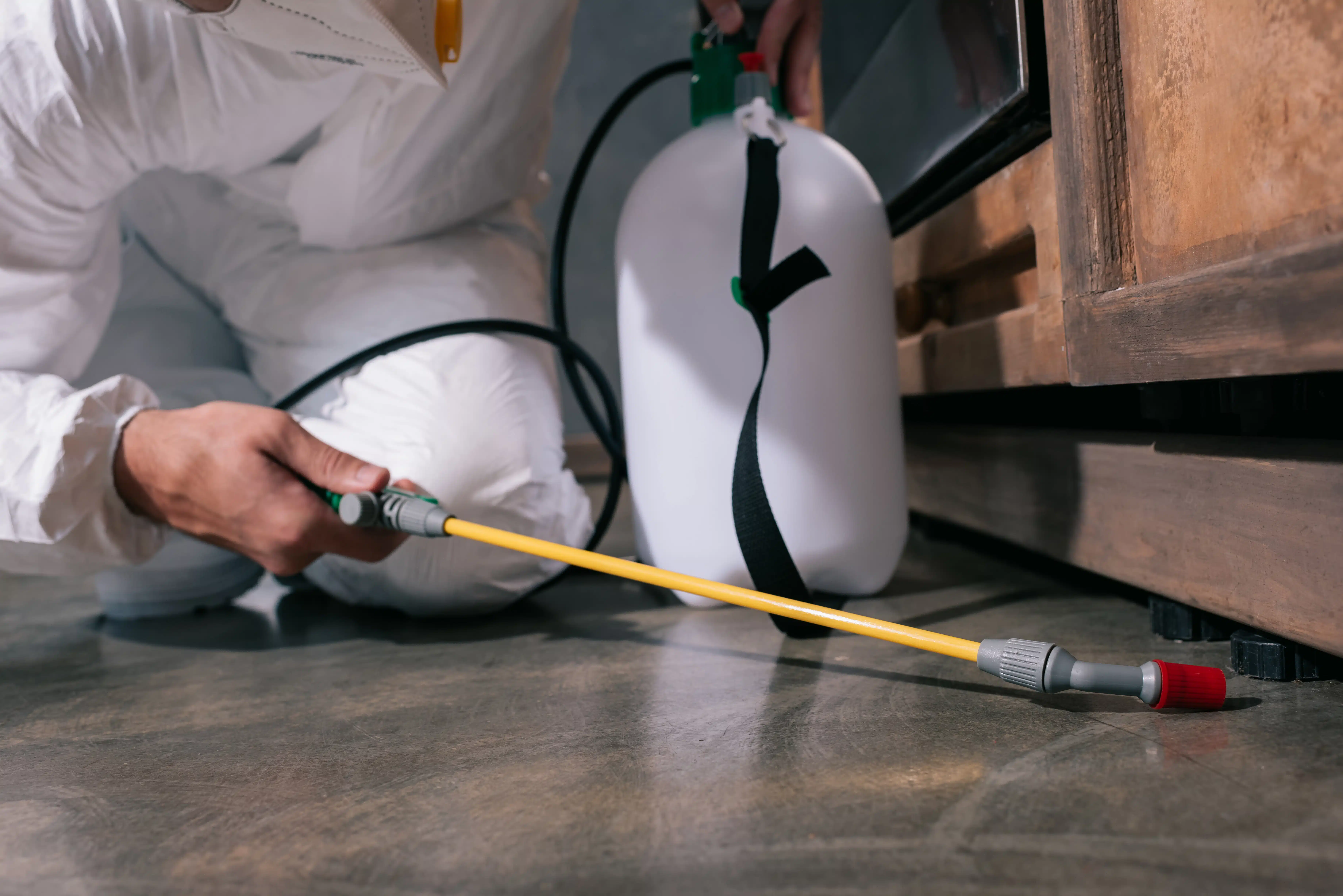 Best Pest and Termite Control Tempe AZ Services