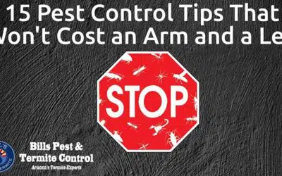 Top 15 Pest Control Tips That Won’t Cost an Arm and a Leg