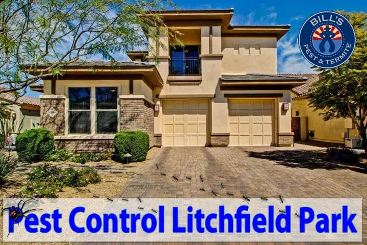 Affordable Litchfield Park Pest Control Services