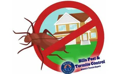 Ten Pest Control Methods Debunked by a Pest Control Expert
