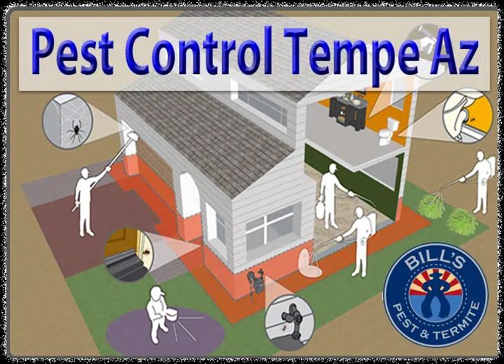 Tempe Pest Control Services - Best Bed Bug Treatment Tempe AZ