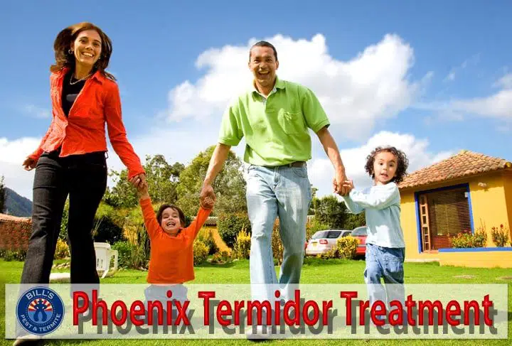 Comprehensive Guide to Phoenix Termidor Treatment for Homeowners