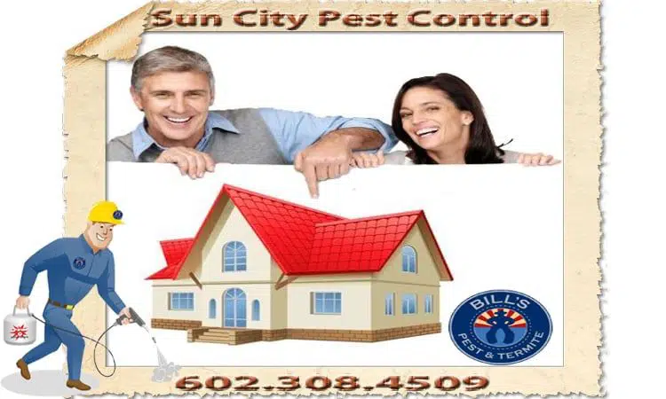 Best Pest and Termite Control Sun City AZ
