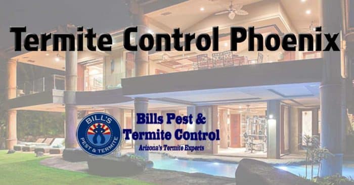 Best Termite Control Phoenix az