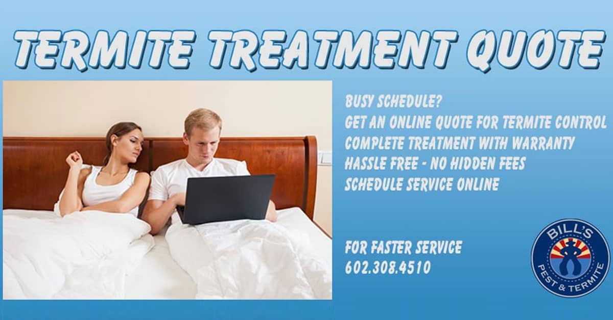 Best Termite Treatment San Tan Valley Az Quotes